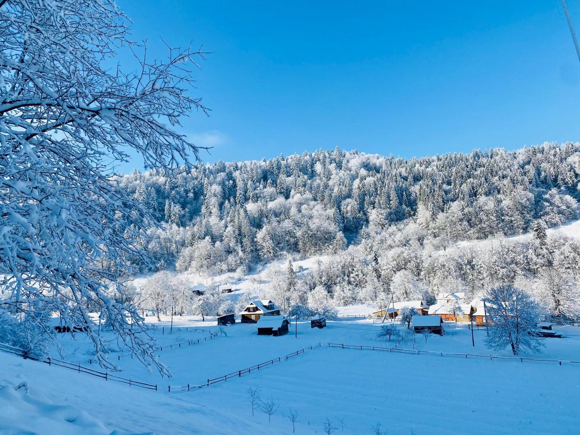 Bagriwood Lodges Yaremche Exterior foto